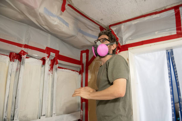 Best Mold Prevention Services  in USA